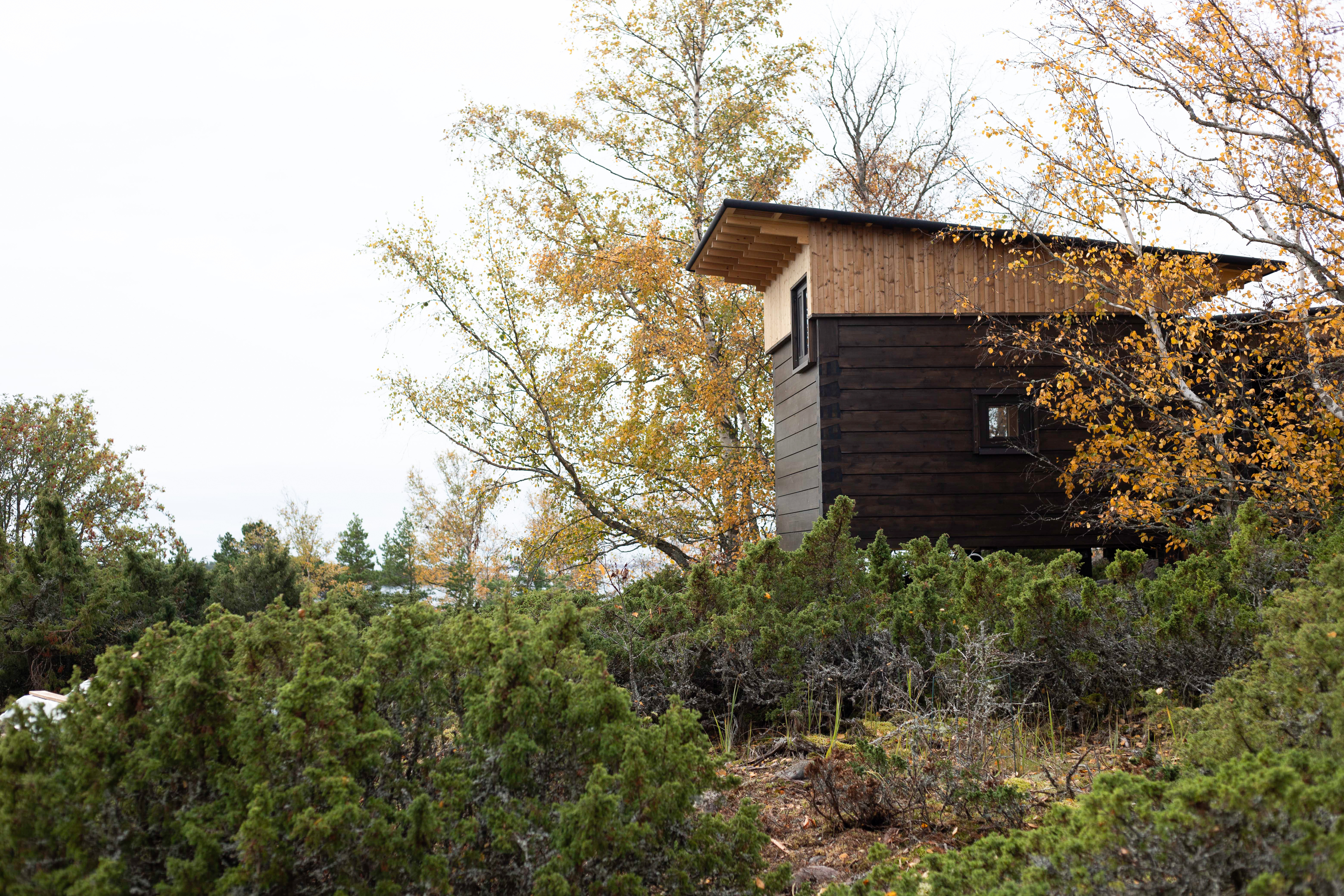 Image: IMG 9137 2024 10 28 08 39 34 2