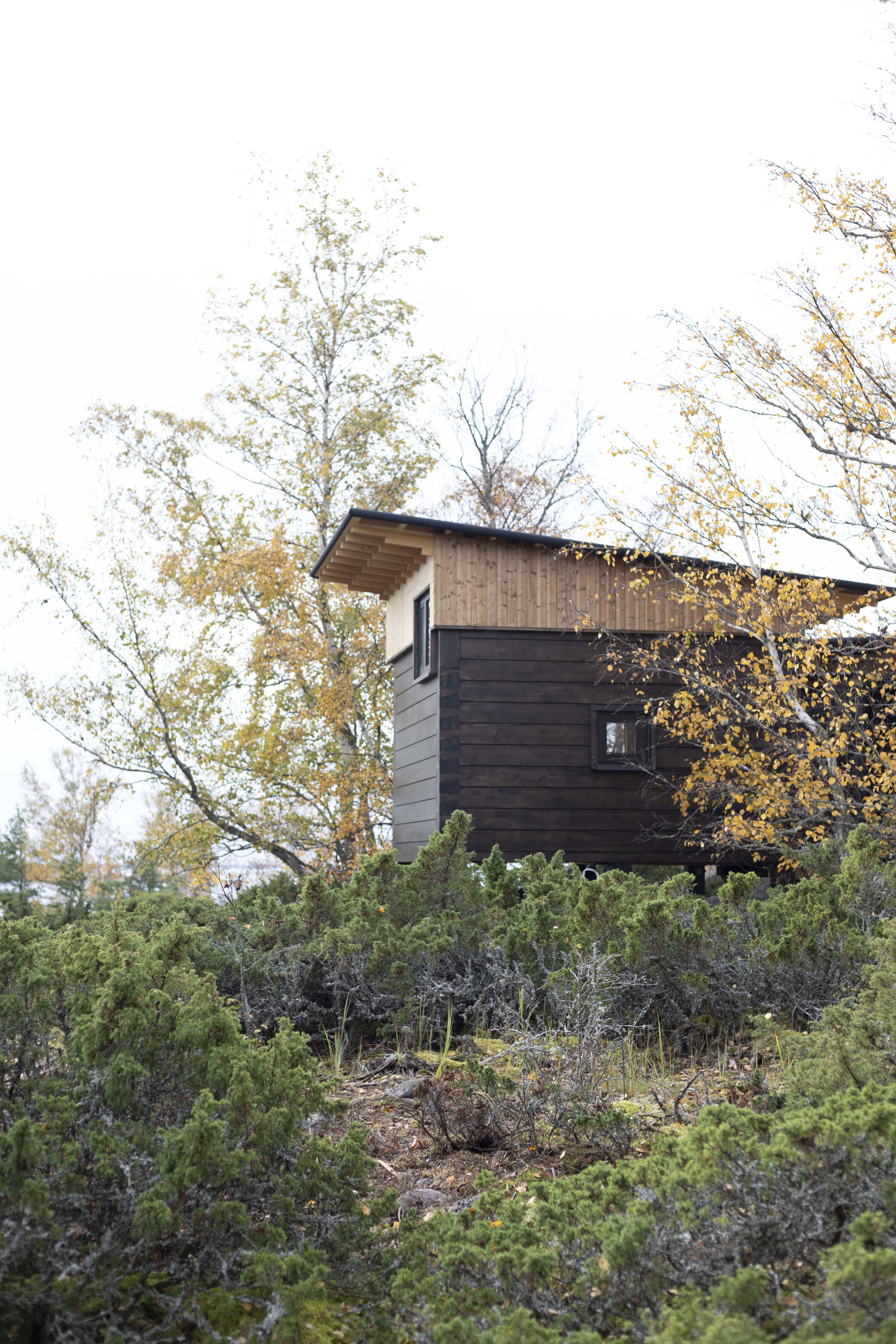 Image: IMG 9138 2024 10 28 08 23 12