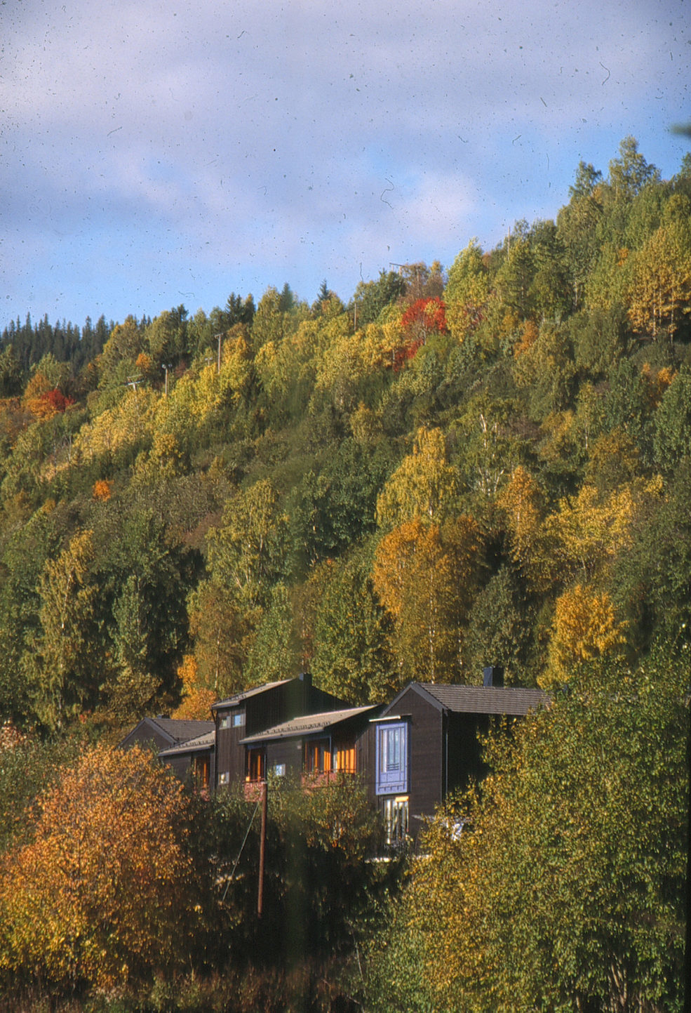 Image: 6 210113 172420